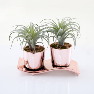Simulation Nordic Plant Potted Plant Decorative Modeling Exquisite Quiet Home