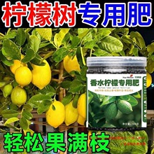 ��ˮ���ʘ���ϙ��ʷʼ�ͥ�����ЙC���҃����������Ә�ͨ�÷ʾw