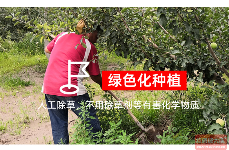 2022年红旗坡六队产品详情图_06