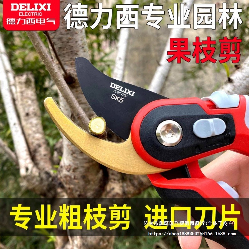 德力西园林剪省力修枝剪刀剪树枝园艺剪刀果树粗枝剪花艺剪绿化剪