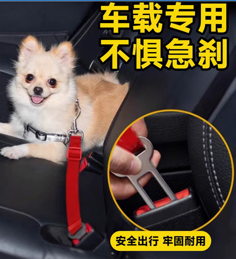 厂家直营铁质宠物安全扣狗狗牵引绳配件表宠物牵引带防锈插片