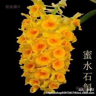 �m���������pɫ������ˮʯ����Ʒ���F�l؛��Ʒ�N�҃����Կ���̫��