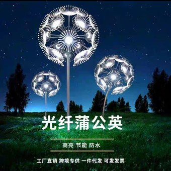 定制led亚克力蒲公英灯室外七彩光纤蒲公英灯花园地插造型景观灯