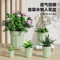 怠け者の水耕栽培の植木鉢の活性はセットの室内外のプラスチックの通気性を維持します。