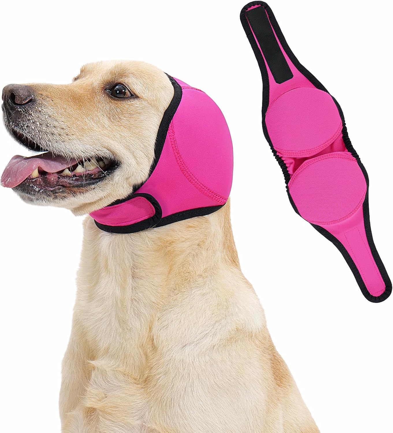 First generation rose red