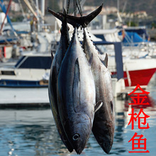 ���r�S�����~�V���Sɳ���r���lӡ���S����Ŀ���~ 70-100��/�l