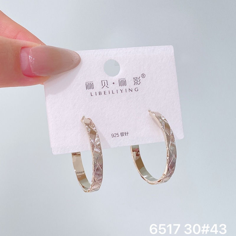 丽贝丽影丽银欧美时尚高级感素圈耳环2025新款爆款个性小众女耳圈|undefined