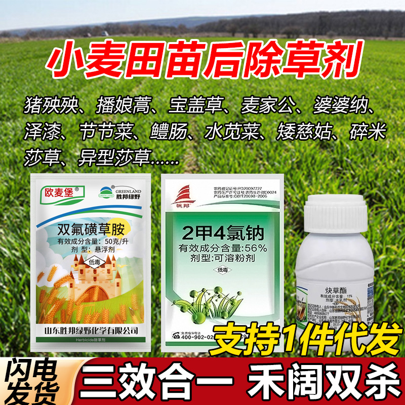 麦田除草剂小麦专用一年生阔叶杂草除草剂除杂草野燕麦猪央央荠菜