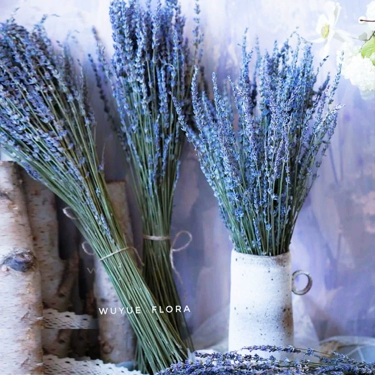 Амазонка трансграничная фабрика оптом Лаванда сушеные цветы растительное сырье украшение гостиной Синьцзян-Или