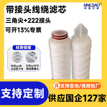 定制线绕滤芯带接头三角尖+222+226+平封保安过滤器水处理线滤芯