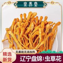 �x�ݻ��������r��؛��Ʒ��Ӽ���x�ݽ��Ҝ���Ǿ����p���l���ݲ�