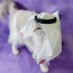 ペットの頭巾帽子猫犬日焼け止め防風砂頭カバー手作りワールドカップマスコット頭飾りサウジアラビアスタイル