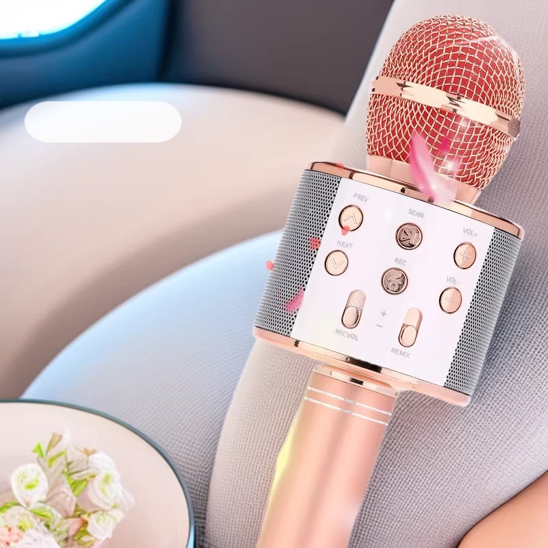 Microphone and Speaker Integrated Microphone for Home Singing Karaoke Children's Wireless Bluetooth Mobile Phone Ktv Nationwide Cross-Border 858