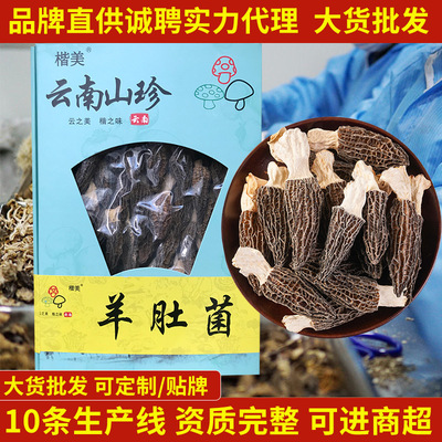 云南特产楷美羊肚菇菌类干菇礼品装剪柄头茬无沙羊肚菌干货汤料包