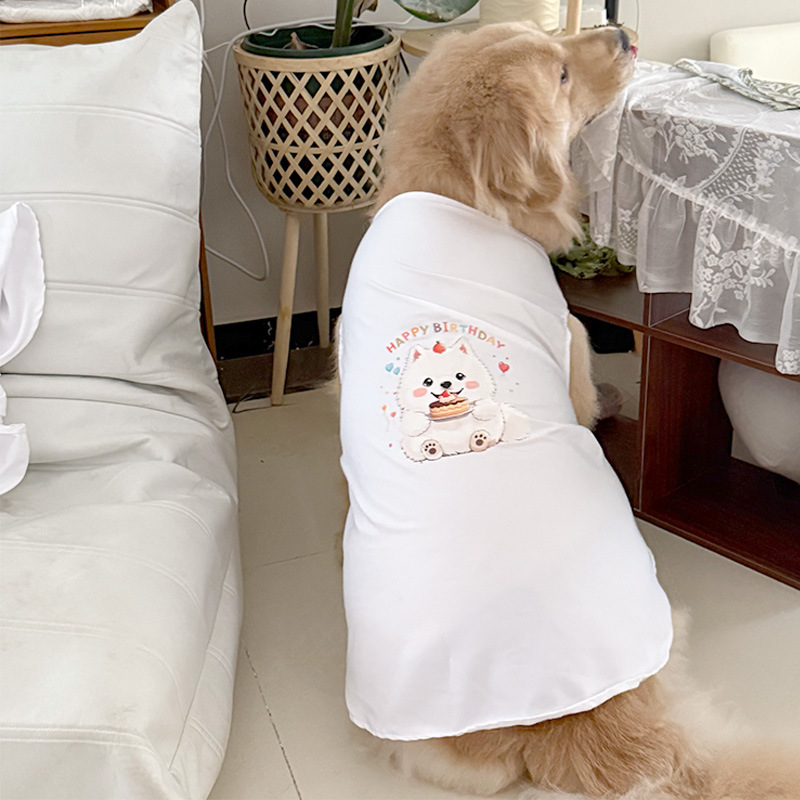 흰 조끼 생일 시리즈 사모예드
