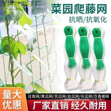 ���پW�r��ֲ��ɽș�S���㶹��϶��ǽz�ϵ��ϰ���������W�Nֲ�W