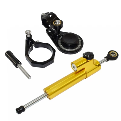 Motorcycle frame: modified titanium ruler directional - gold-black