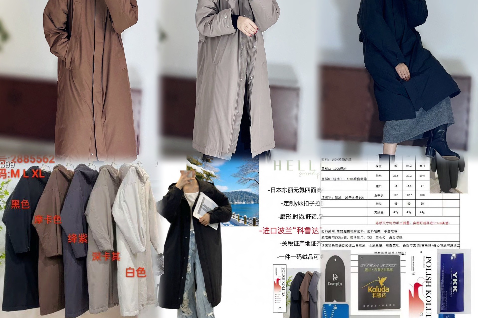 12호 5562 50% off 구매 가능