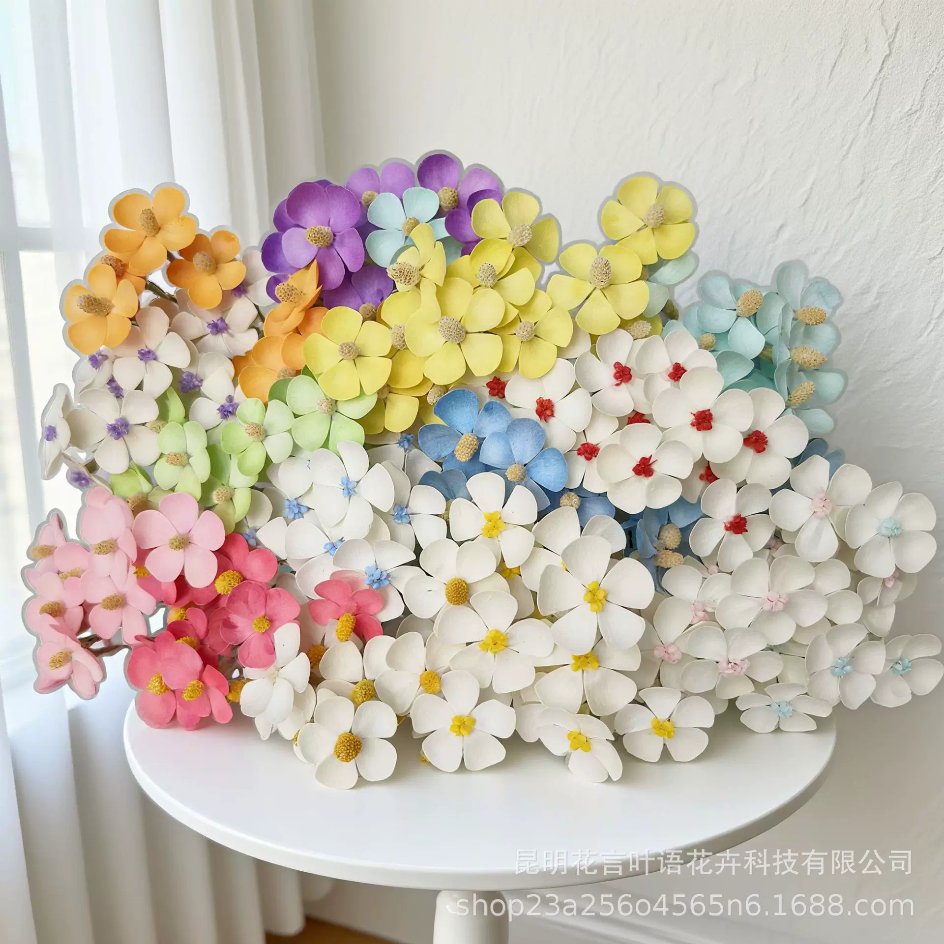 干花紫罗兰花花真花奶油雏菊永生花装饰花礼婚庆云南源头工厂12支