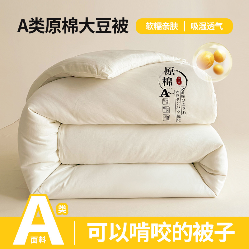 a类超柔水洗棉加厚冬被原棉大豆被纤维被夏凉被春秋空调被可批发