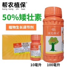 国光50%矮壮素水剂防止疯长徒长倒伏化学整枝农药生长调剂剂