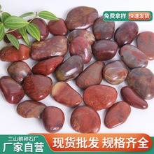 红色鹅卵石 铺路园林造景红色雨花石子 鱼缸水池垫底水洗抛光石