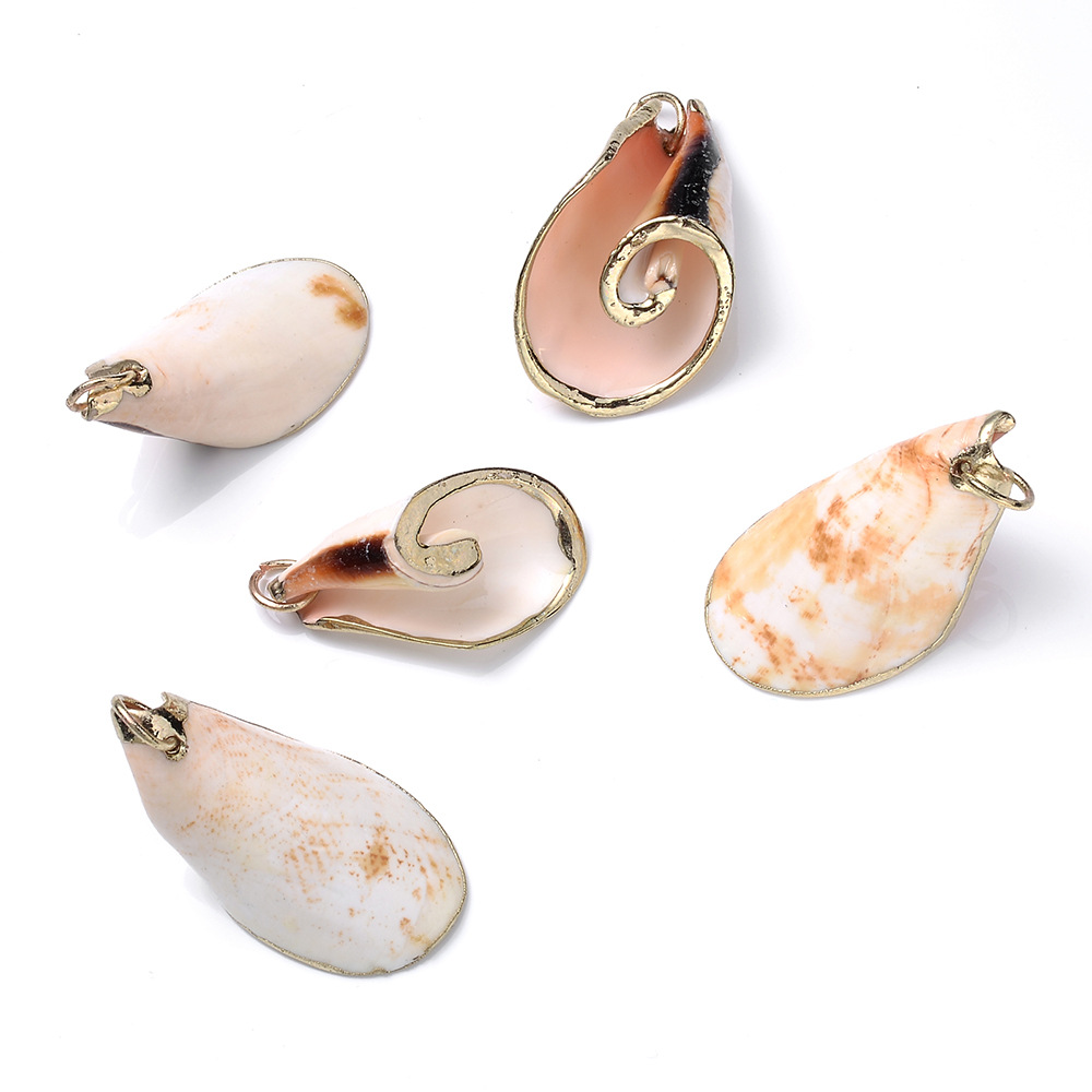 5 PCS/Package Shell Conch Shell Pendant display picture 6