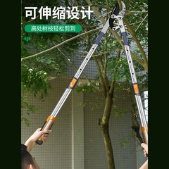 果樹剪定用剪定鋏、専用枝鋏、園芸剪定品、強力剪定、太枝、大枝、省力化