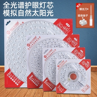 Full spectrum ceiling lamp eye protection led wick with magnet replacement core household bedroom round lamp panel transformation module