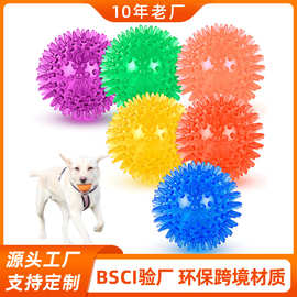 亚马逊爆款发声刺刺狗球耐咬宠物玩具TPR弹力互动狗狗玩具球厂家