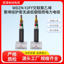 WDZN-YJFYϩϩNoןou͟ȼ|