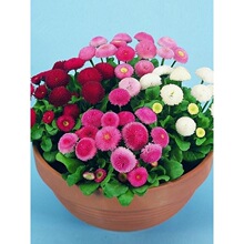 Ҋ���ͻ�W�t���NС�r�ջ��N�����ļ����N�_���ͺ��̨ͥԺ������