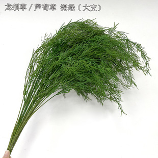 ���������~����횲��b��~�Ĵ����L횰׾Gɫ횠�ֲ�� �����J����