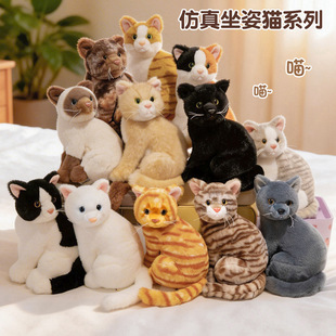 �羳�������^؈����ë�q��߷���؈����ż��ż؈��u����؈����؈