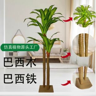 ����Gֲ �������ľ�����F ���� �҃��bGֲ�辰�쾰 ���Sֱ�N