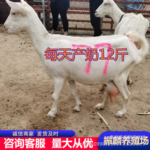 �����_����ɽ��a�� ɯ����ɽ��N���� ��ɽ���Bֳ