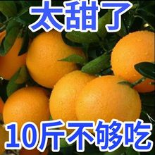 【甜】湖南麻阳冰糖橙新鲜水果应季小甜橙子手剥橙5/0斤非脐橙