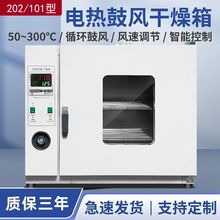 电热恒温鼓风干燥箱实验室高温小型烘干机加热烤箱工业商用外贸