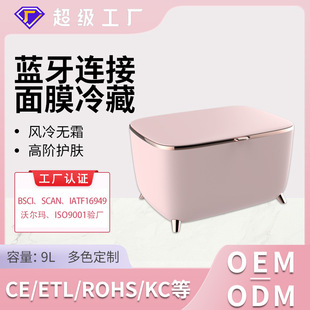 New 9L Household Dormitory Beauty Makeup Refrigerator Convenient Mute Mask Cosmetics Mini Refrigerator Bluetooth Mini Refrigerator