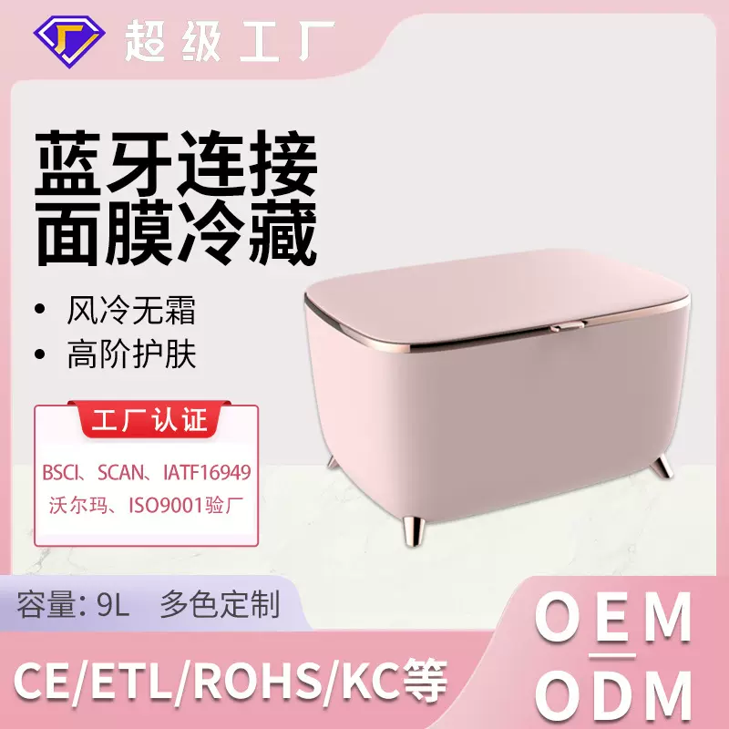 新款9L家用宿舍美妆冰箱便捷式静音面膜化妆品小冰箱蓝牙迷你冰箱