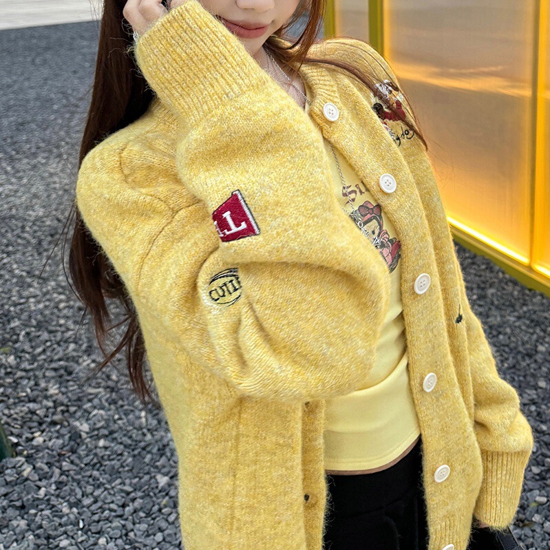 刺绣针织衫女士2025年秋冬季新款宽松休闲外穿高级感小众毛衣上衣|undefined