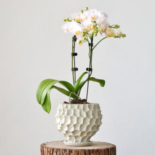 ��������m����ֲ��͏d�����մɻ����m�����聆�R�d�����b[��