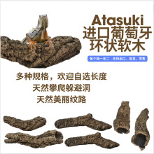 ������������ľ��Ȼ��ľ����Ƥ��Ѩ��Ƥ�쾰��������������쾰��