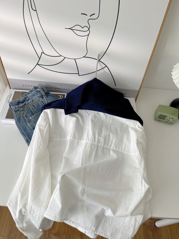 抖音爆款白色刺绣长袖衬衫女2025新款配披肩小众时尚宽松衬衣6211|undefined