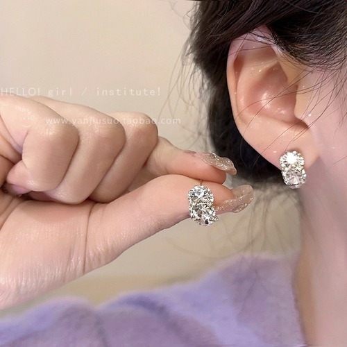 Korean niche exquisite zircon earrings for women, new Western-style earrings, light luxury, high-end, versatile and popular earrings
