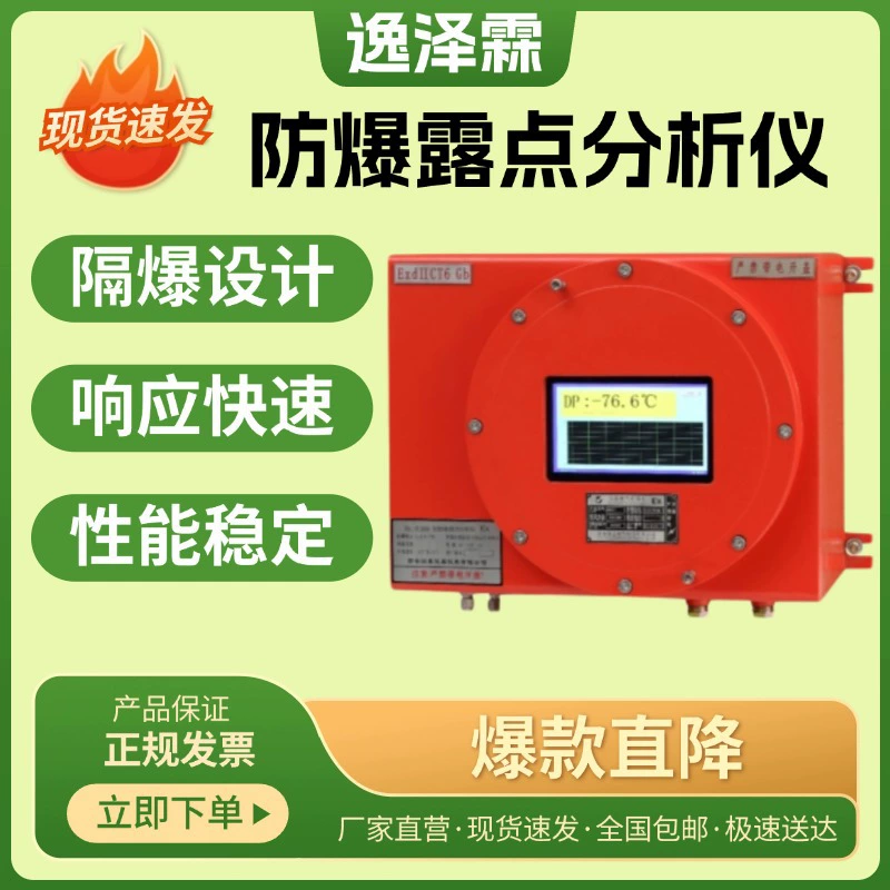 YZL-E300 Онлайн-анализатор точки росы для трубопроводов Взрывозащищенный термометр точки росы Онлайн-монитор содержания точки росы
