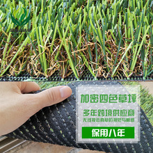 ��ɽ�S�� �˹���̺�׃��@ͥԺ����� ��픸��Ứ�@��������ٲ�Ƥ