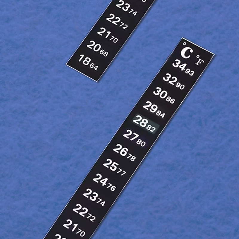 Glass aquarium, thermometer