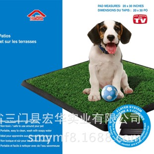 Large Pet Mat Large Pet Lawn Toilet Pet Toilet 51X76cm