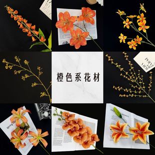 ��ɫϵ���滨�� ��ɫ��ɫ�����Y�Ҿӻ�Y�üٻ��������l����ɫ